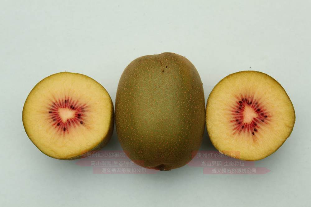 Red kiwifruit