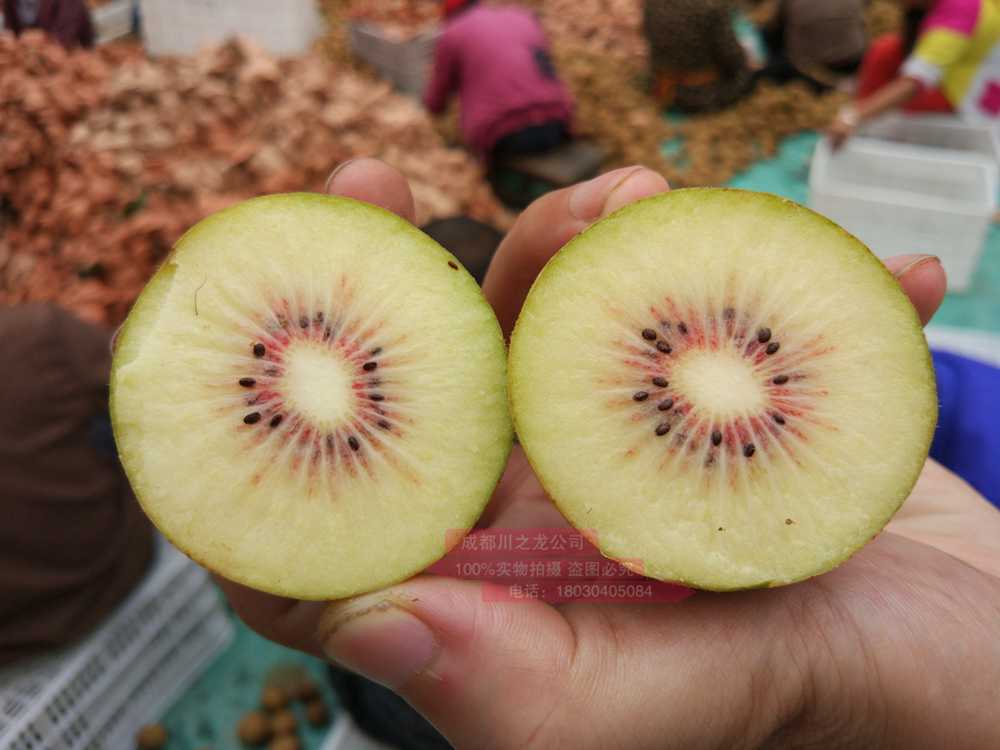 redkiwifruit