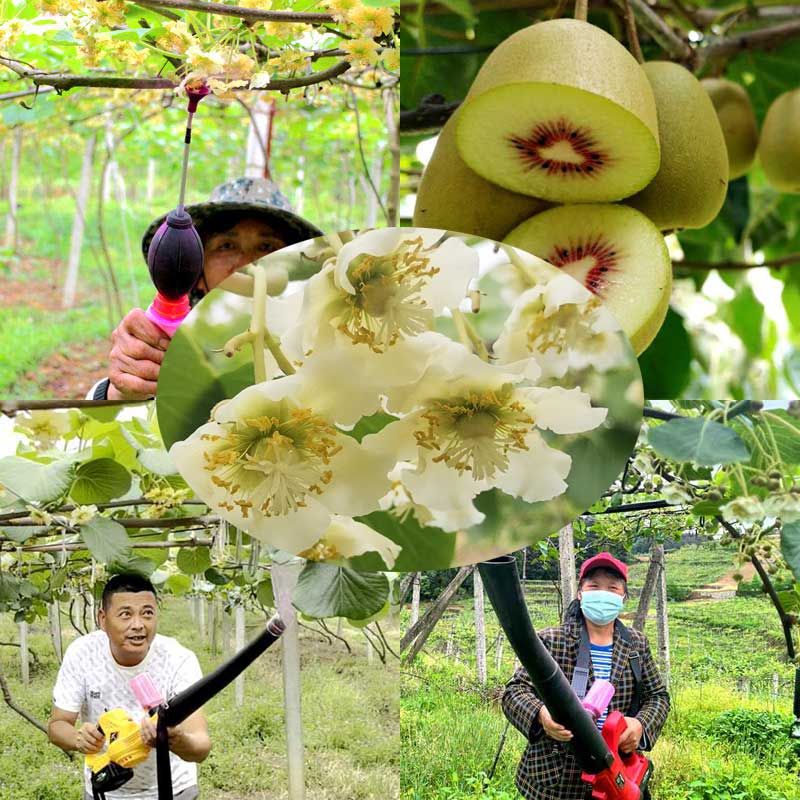 Kiwi pollination equipment Kiwi pollination equipment