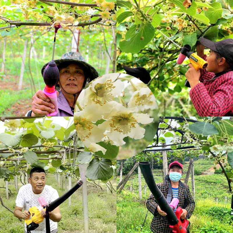 Kiwi pollination equipment Kiwi pollination equipment