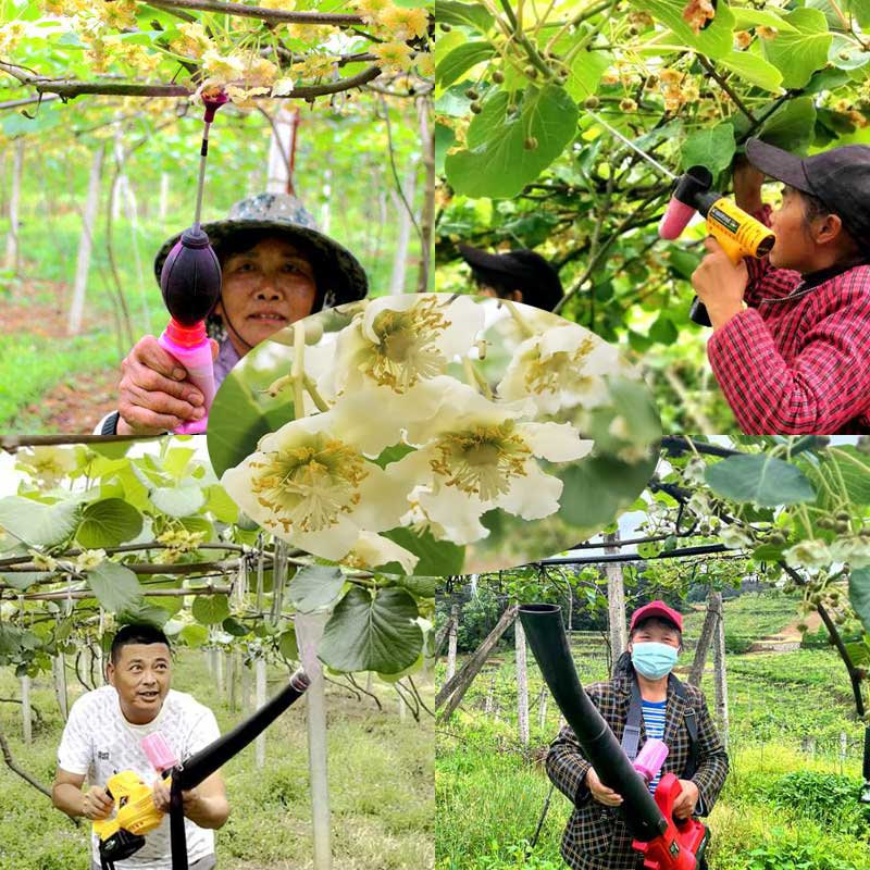 kiwi pollen applicator kiwi pollen applicator