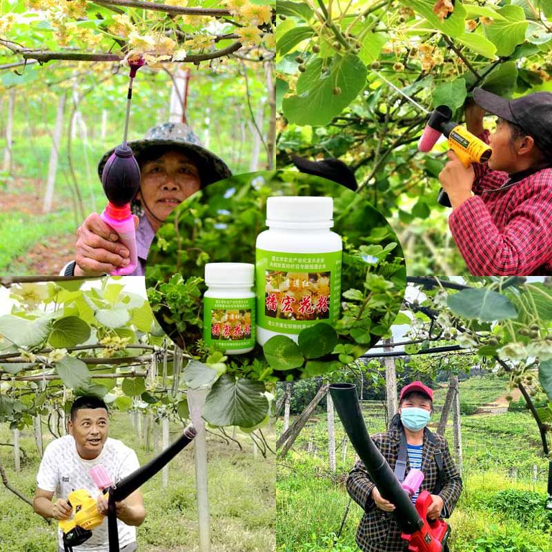 kiwi pollen applicator kiwi pollen applicator