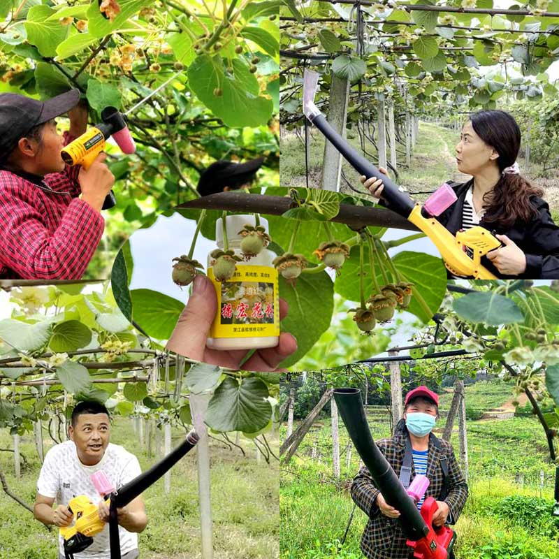 Training on Pollination Techniques for Kiwi Orchard Training on Pollination Techniques for Kiwi Orchard