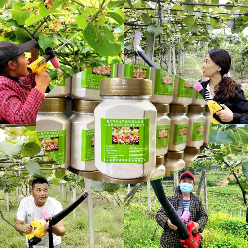 kiwi pollen blower kiwi pollen blower