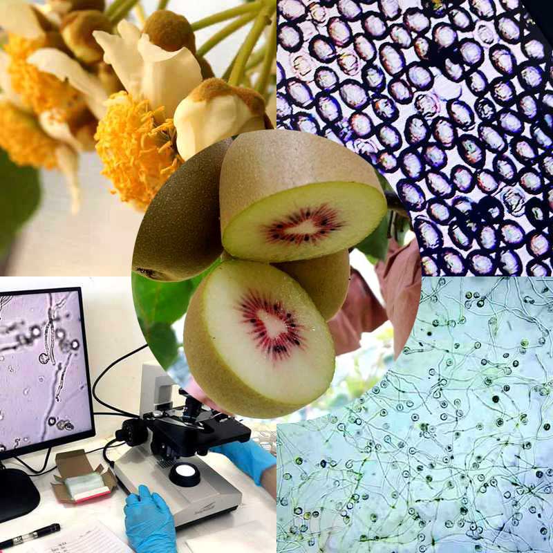 kiwifruit pollen price kiwifruit pollen price