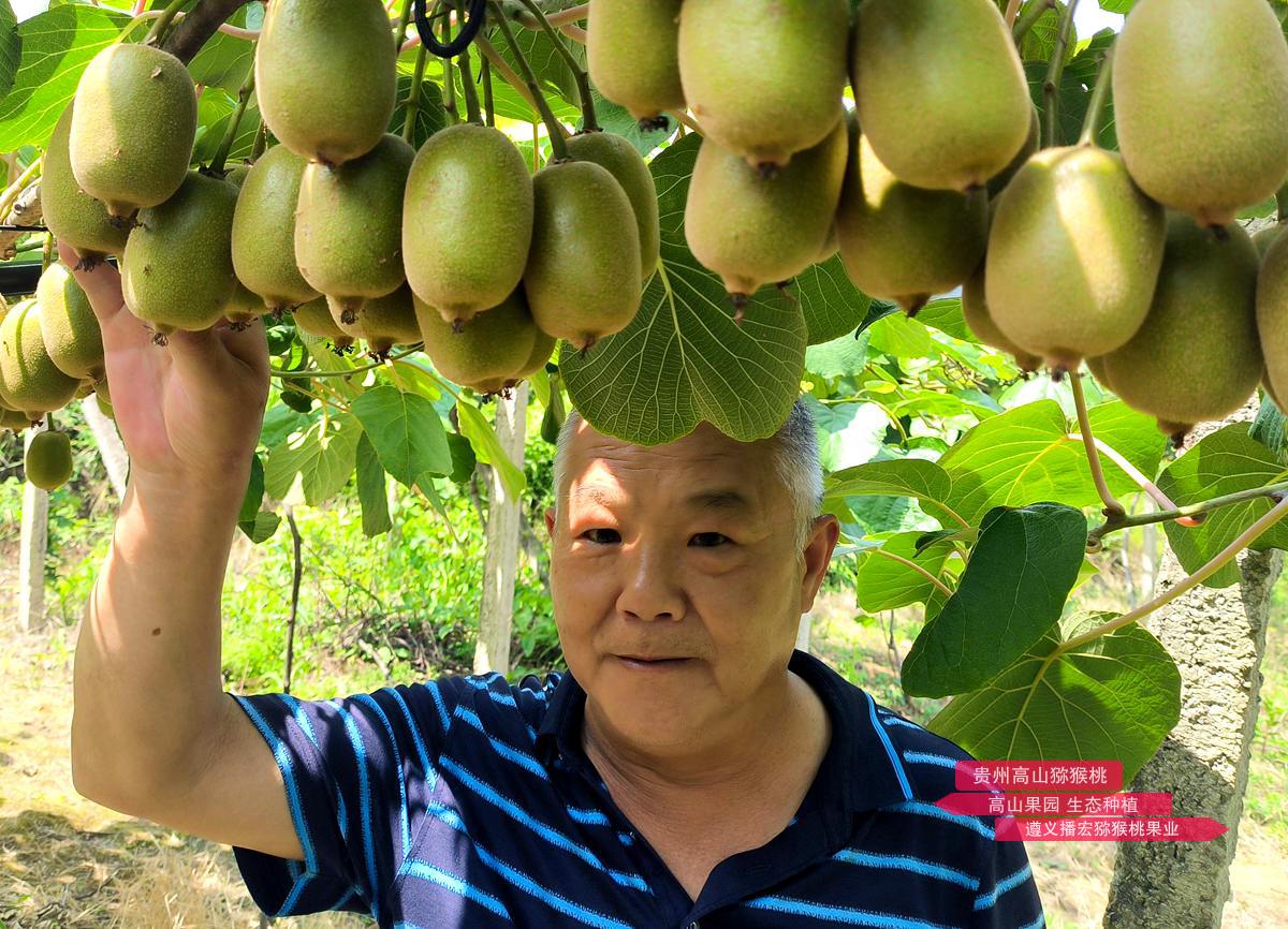 helping growers achieve their ultimate pollination