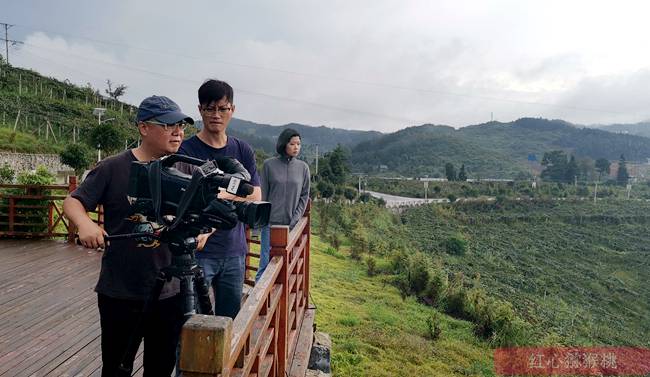 記者采訪四川獼猴桃基地 記者采訪四川獼猴桃基地