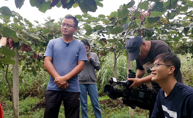 記者采訪四川獼猴桃基地