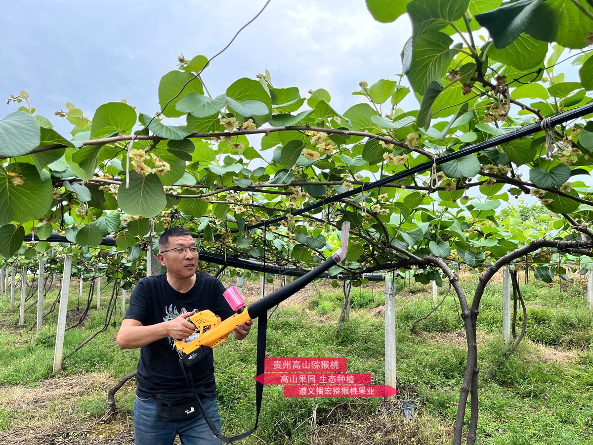 Kiwi electric pollination machine using lithium batteries