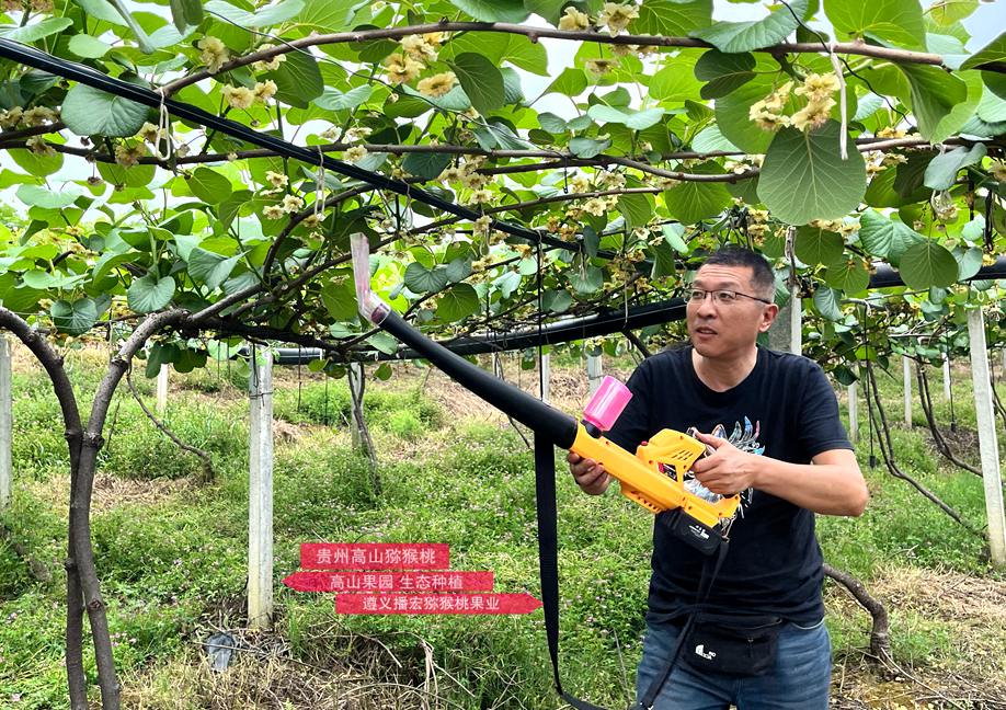 Kiwi electric pollination machine using lithium batteries