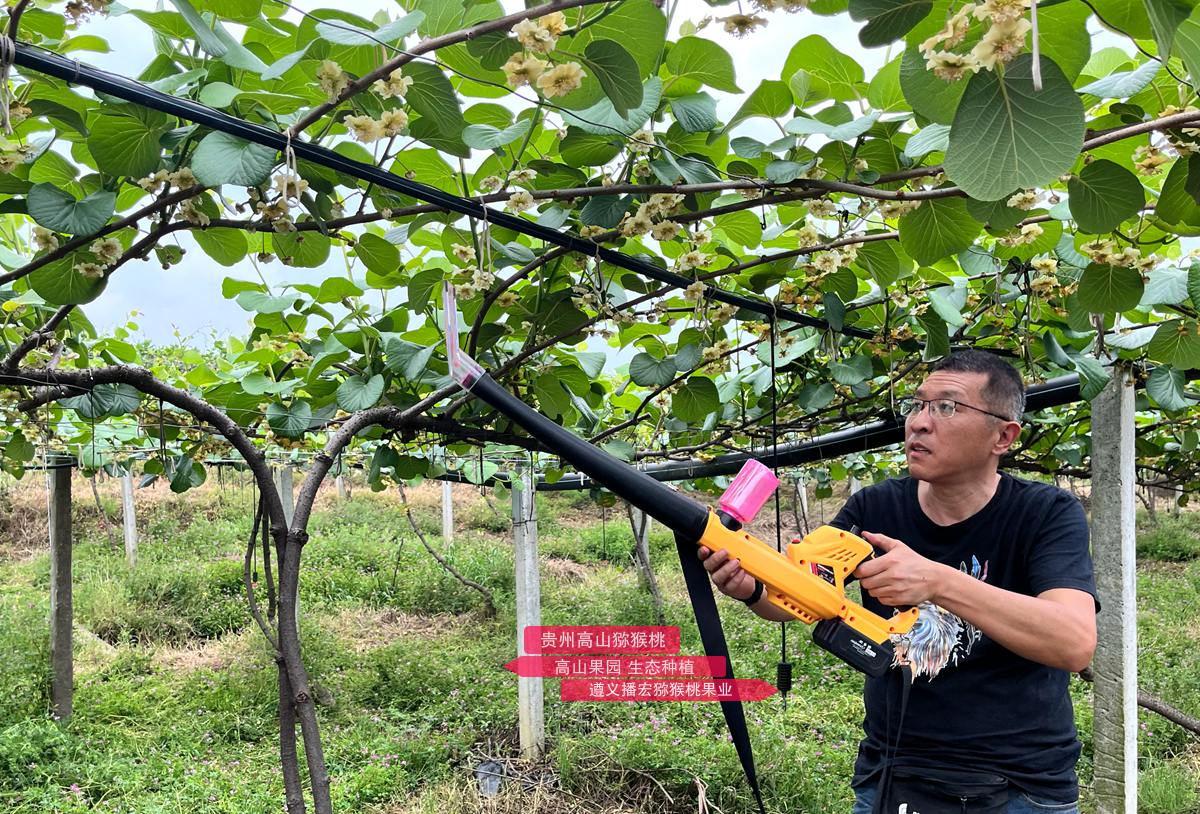 使用鋰電池的獼猴桃電動(dòng)授粉機(jī)