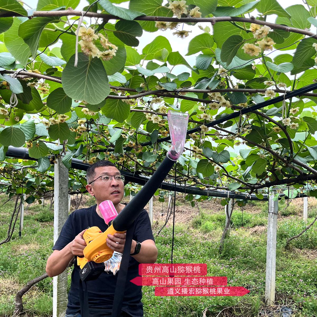 使用鋰電池的獼猴桃電動(dòng)授粉機(jī)
