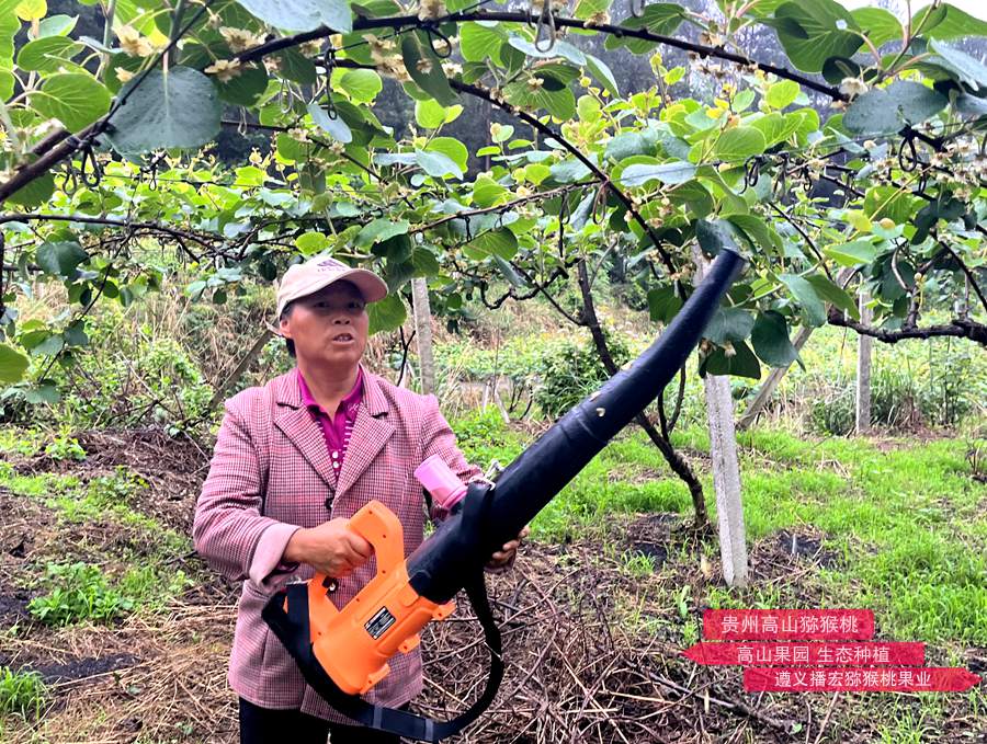 新型鼓風式電動授粉器