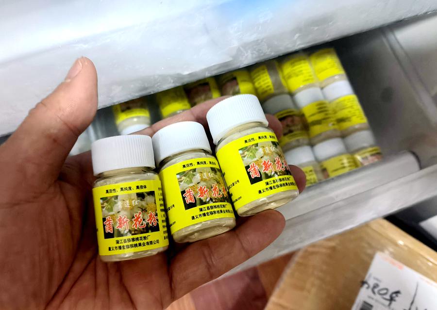 獼猴桃花粉需要低溫保存