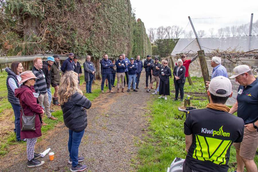 Training on Pollination Techniques for Kiwi Orchard