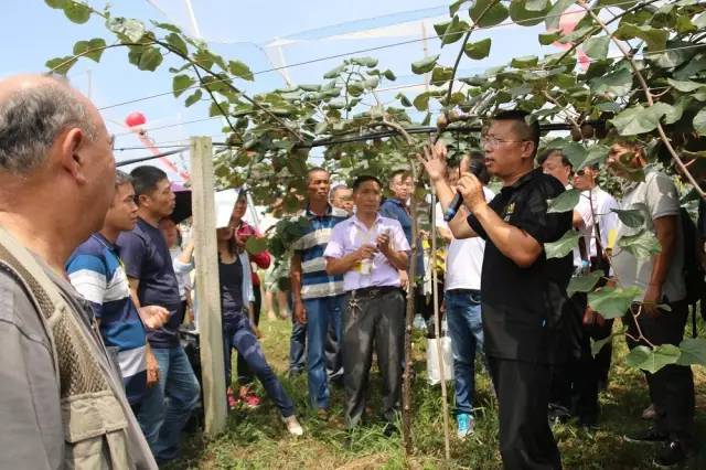 獼猴桃培訓(xùn)會(huì)議