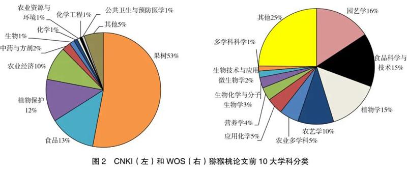 四川獼猴桃采摘 四川獼猴桃采摘