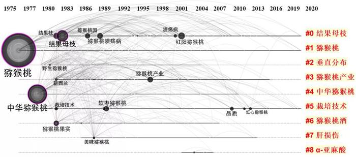 四川獼猴桃采摘 四川獼猴桃采摘