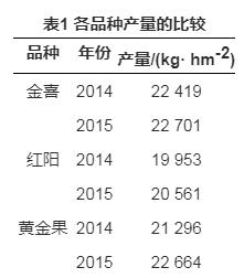 金喜獼猴桃