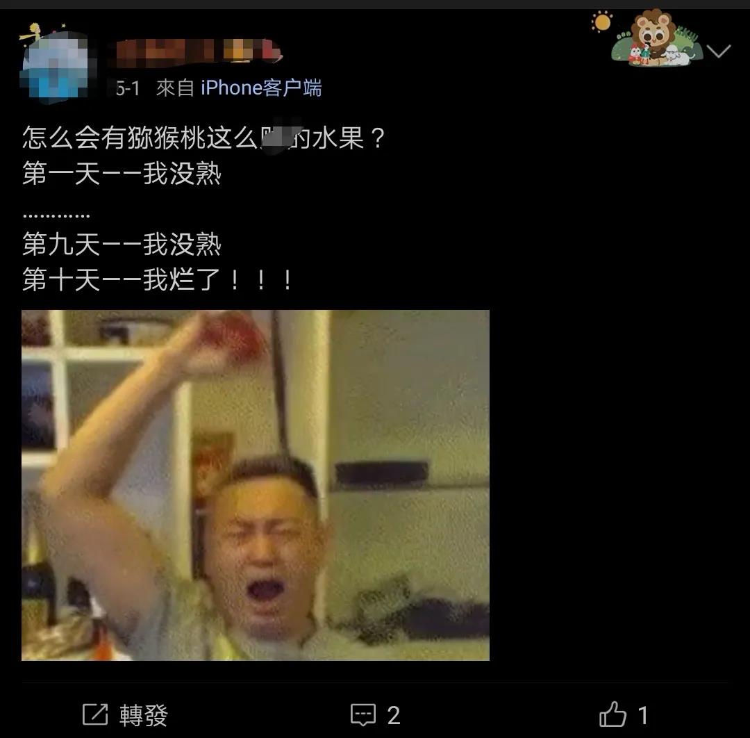 紅心獼猴桃網(wǎng)上銷售