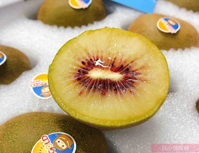 東紅獼猴桃