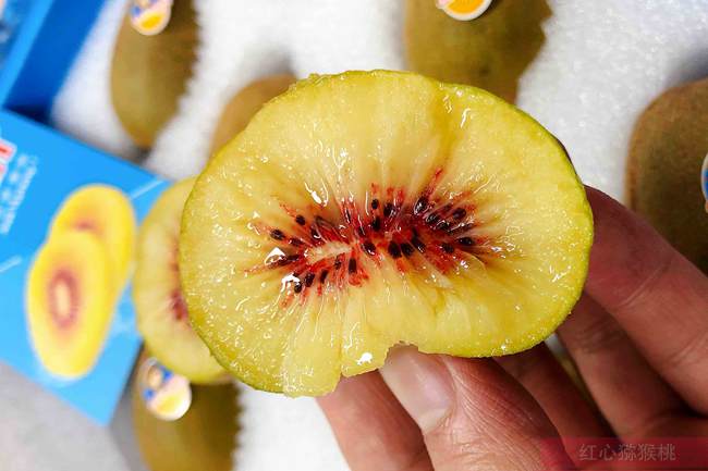 東紅獼猴桃