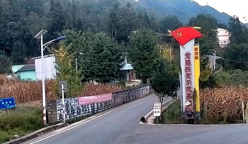 六盤(pán)水獼猴桃 六盤(pán)水獼猴桃