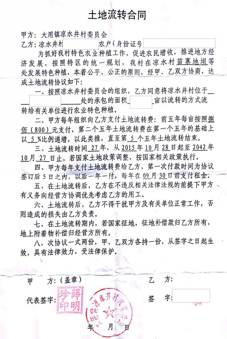 六盤(pán)水獼猴桃 六盤(pán)水獼猴桃