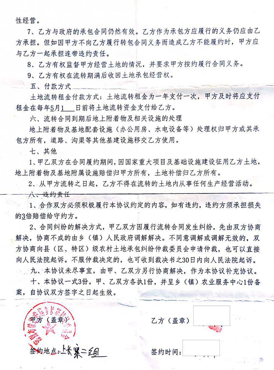 六盤(pán)水獼猴桃 六盤(pán)水獼猴桃