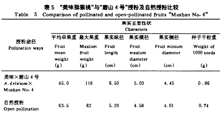 磨山4號獼猴桃