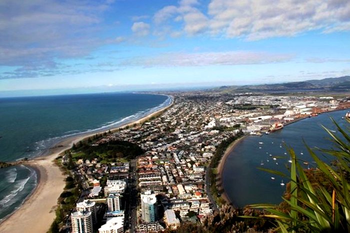 Bay of plenty the main production area of Kiwifruit in New Zealand