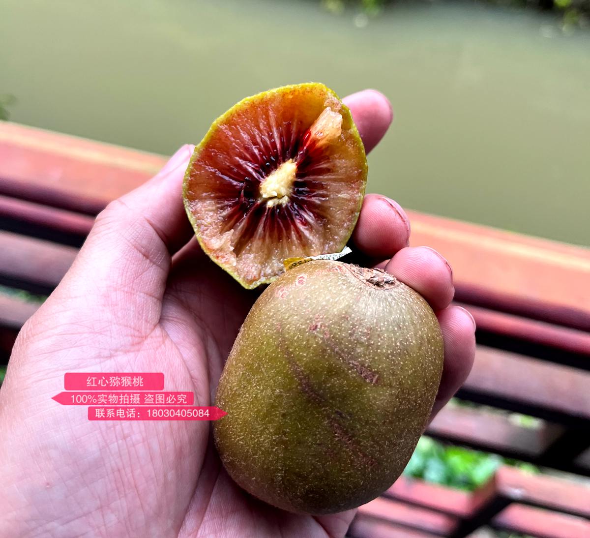 新西蘭佳沛的寶石紅肉奇異果