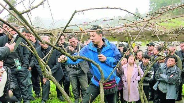 獼猴桃專家高昊昱